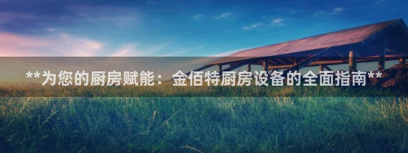 尊龙官网首页：**为您的厨房赋能：金佰特厨房设备的全面指南*