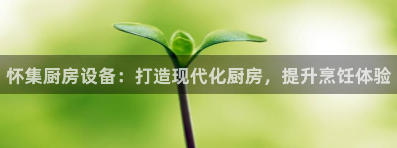 尊龙凯时输了100万：怀集厨房设备：打造现代化厨房，提升烹饪