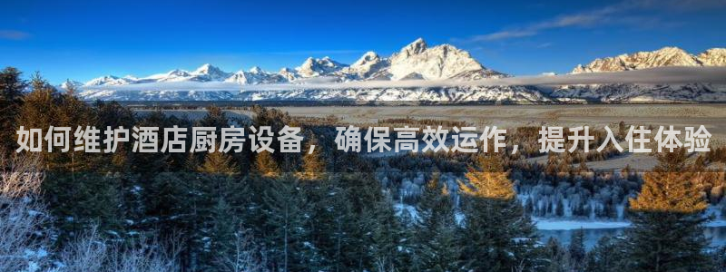 尊龙人生就是博官