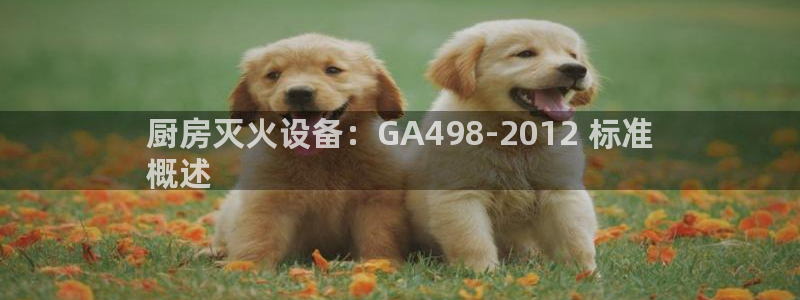 尊龙官网国际