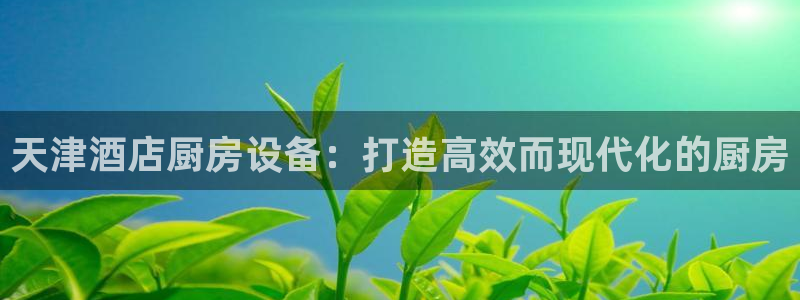 尊龙z6网址：天津酒店厨房设备：打造高效而现代化的厨房