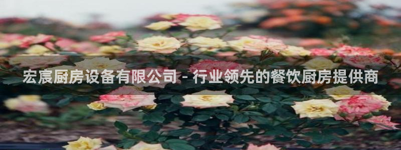 尊龙人生就是-首页(中国)有限公司：宏宸厨房设备有限公司 -