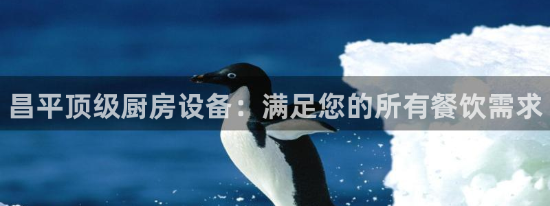 尊龙凯时提款冻卡吗：昌平顶级厨房设备：满足您的所有餐饮需求