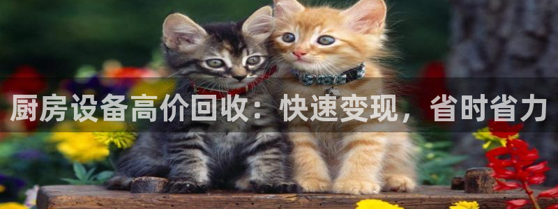 凯时官网下载客户端
