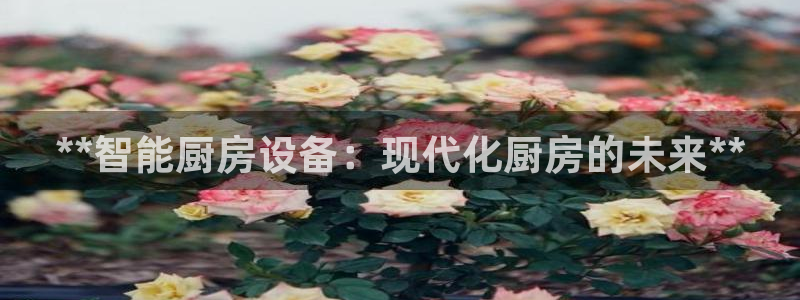 尊龙物流怎么样