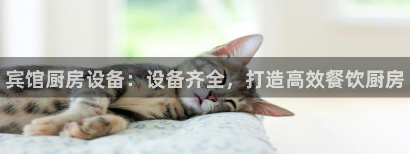 尊龙新版app首页