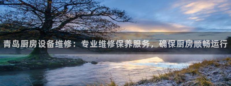 尊龙ag：青岛厨房设备维修：专业维修保养服务，确保厨房顺畅运