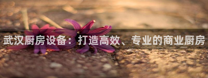 尊龙旗舰厅app：武汉厨房设备：打造高效、专业的商业厨房