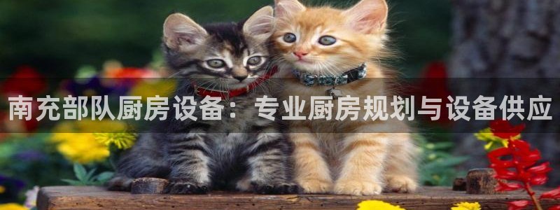 尊龙人生就是博下载：南充部队厨房设备：专业厨房规划与设备供应
