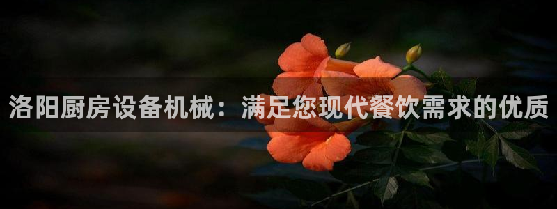尊龙凯时能不能提现?：洛阳厨房设备机械：满足您现代餐饮需求的