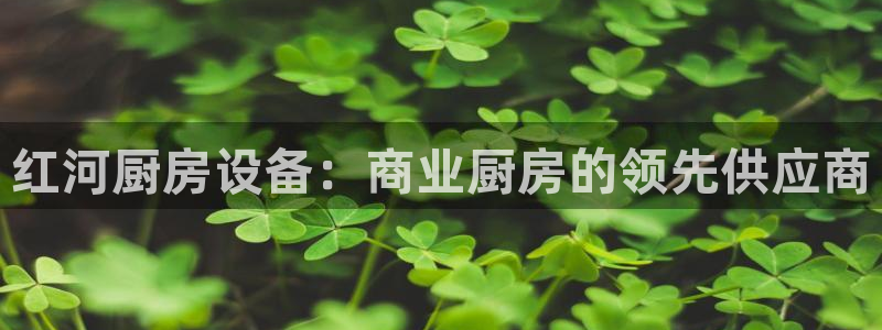 Ag尊龙平台：红河厨房设备：商业厨房的领先供应商