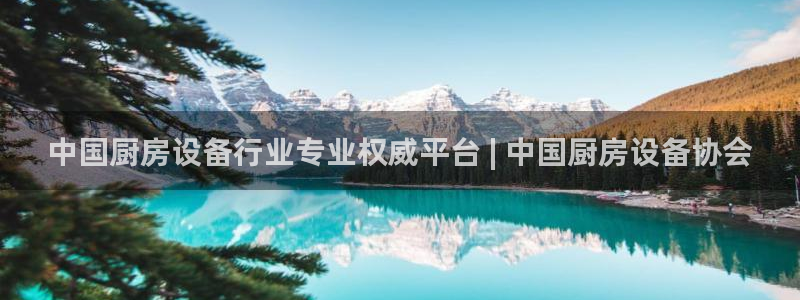 尊龙人生就是博AG旗舰厅：中国厨房设备行业专业权威平台 | 