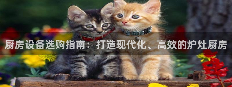 尊龙ag：厨房设备选购指南：打造现代化、高效的炉灶厨房