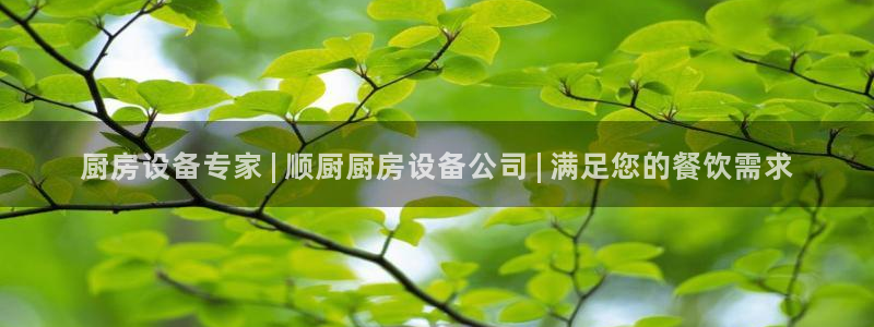 尊龙eight is enough：厨房设备专家 | 顺厨厨