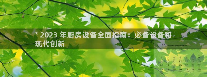 尊龙集团官网：* 2023 年厨房设备全面指南：必备设备和
