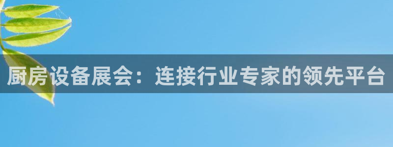 尊龙d88用现推选ag发财网：厨房设备展