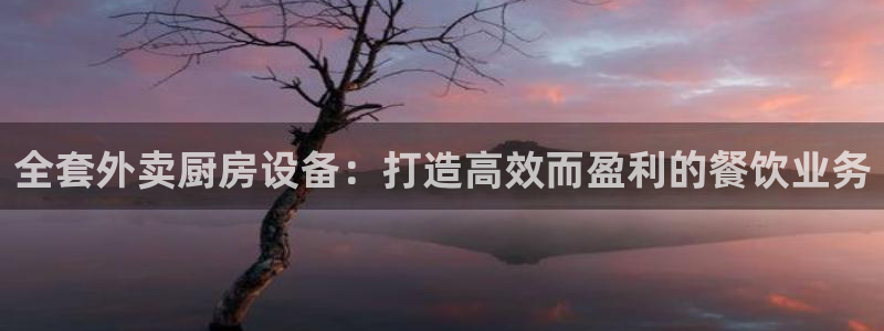 尊龙人生就是博AG：全套外卖厨房设备：打造高效而盈利的餐饮业