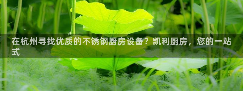 尊龙凯时输了100万：在杭州寻找优质的不锈钢厨房设备？凯利厨
