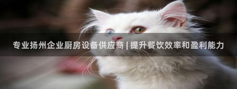 ag尊龙官方网站app：