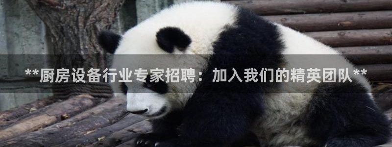 尊龙app官网登录：**
