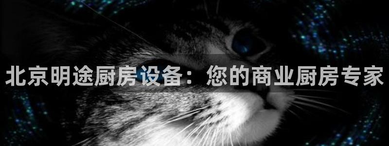 凯时国际网站域名：北京明途厨房设备：您的商业厨房专家