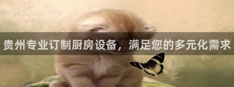尊龙凯时网站登录：贵州专