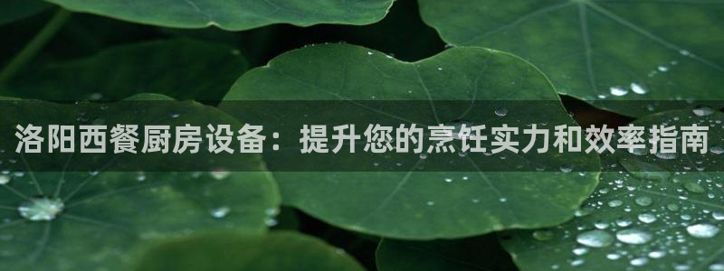 尊龙凯时登陆：洛阳西餐厨房设备：提升您的烹饪实力和效率指南