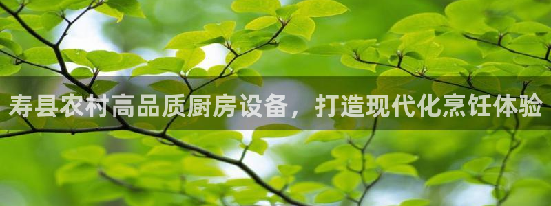 尊龙内地：寿县农村高品质厨房设备，打造现代化烹饪体验