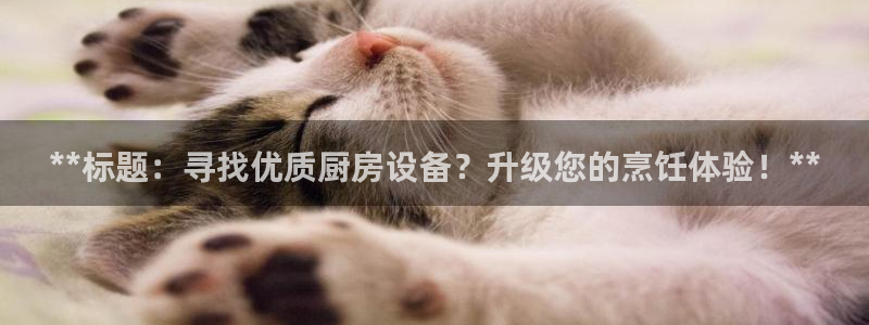 尊龙人生就是博旗舰厅：**标题：寻找优质厨房设备？升级您的烹