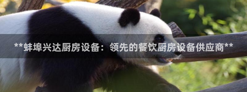 尊龙凯时人生就是搏官：**蚌埠兴达厨房设备：领先的餐饮厨房设