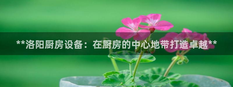 尊龙人生就是博AG：**