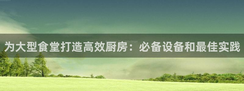 尊龙-人生就是博：为大型食堂打造高效厨房：必备设备和最佳实践