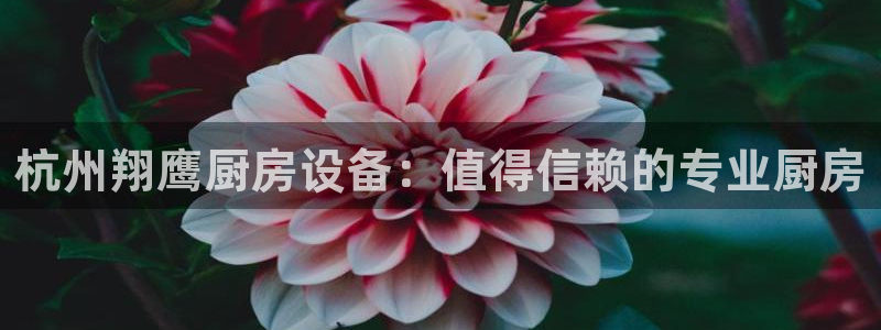 尊龙人生就是博AG：杭州翔鹰厨房设备：值得信赖的专业厨房