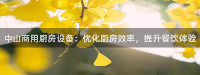 AG尊龙注册在线游戏：中山商用厨房设备：优化厨房效率，提升餐