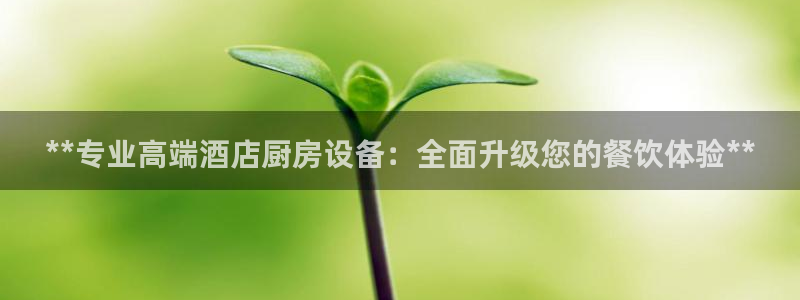 ZL尊龙凯时集团：**专业高端酒店厨房设备：全面升级您的餐饮