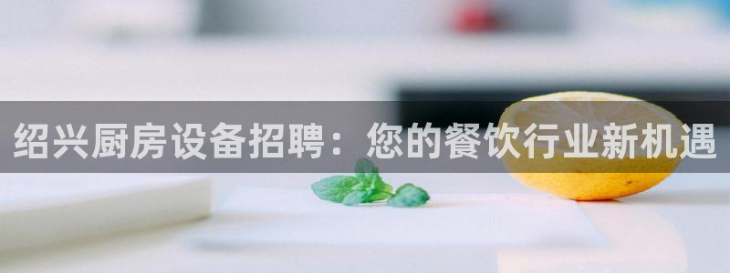 凯时国际app首页登录：绍兴厨房设备招聘：您的餐饮行业新机遇