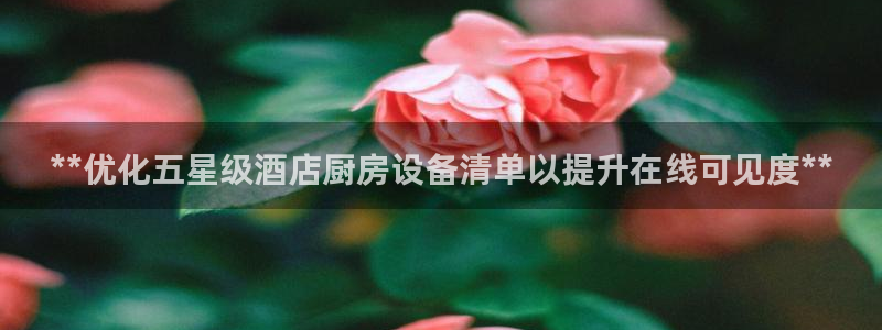 尊龙ag旗舰：**优化五星级酒店厨房设备清单以提升在线可见度