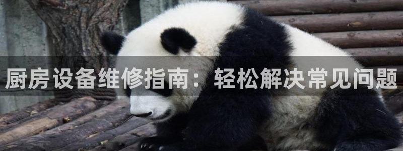 尊龙人生就是博l：厨房设备维修指南：轻松解决常见问题