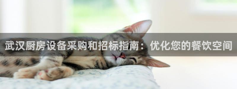 尊龙凯时人生就是搏·(中国)官网：武汉厨房设备采购和招标指南