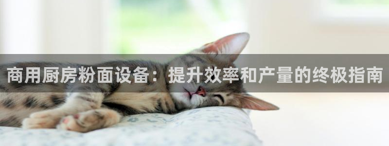 尊龙凯时论坛：商用厨房粉面设备：提升效率和产量的终极指南