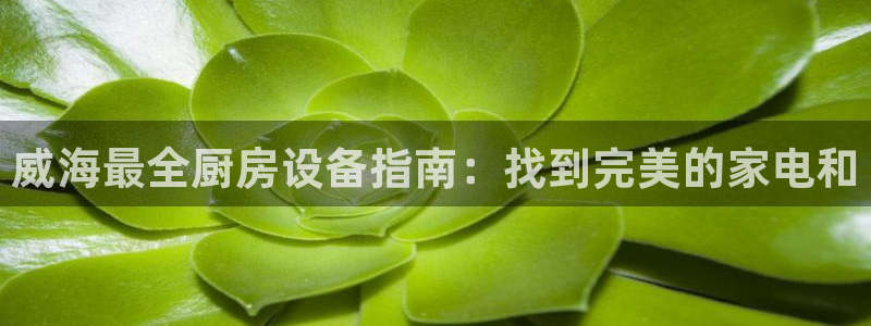 尊龙凯时人生就是搏技术实力：威海最全厨房设备指南：找到完美的