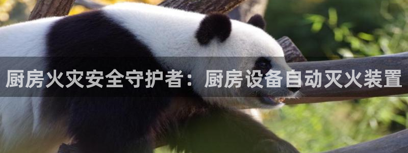 尊龙现金d88：厨房火灾安全守护者：厨房设备自动灭火装置