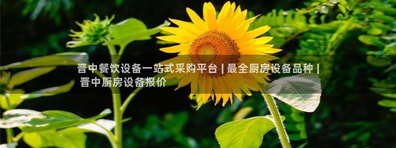 尊龙凯时麻将胡了：晋中餐饮设备一站式采购平台 | 最全厨房设