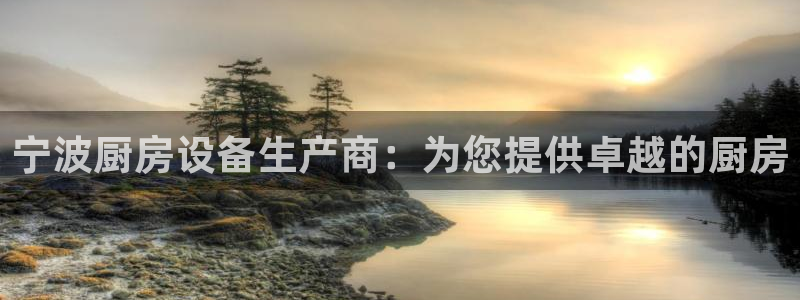 尊龙新版app首页：宁波厨房设备生产商：为您提供卓越的厨房