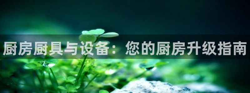 尊龙app下载官网：厨房厨具与设备：您的厨房升级指南