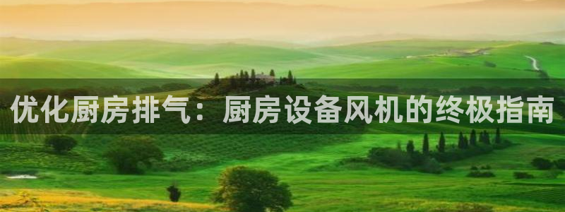 尊龙凯时的最新消息：优化厨房排气：厨房设备风机的终极指南
