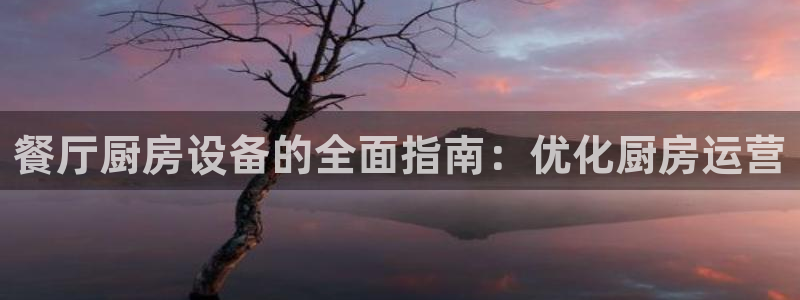 尊龙凯时输了100万