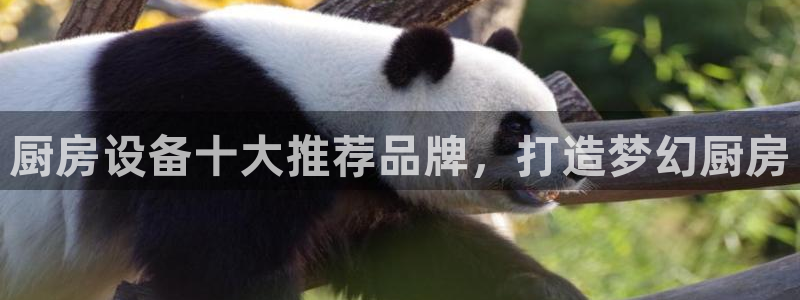 凯时k8官网首页：厨房设备十大推荐品牌，打造梦幻厨房