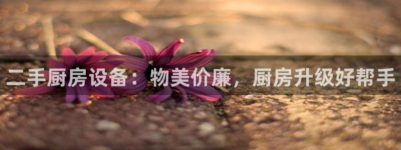 尊龙凯时ag旗舰厅官：二手厨房设备：物美价廉，厨房升级好帮手