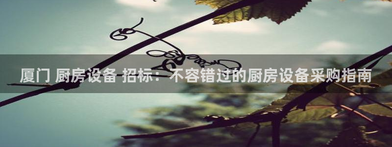 尊龙凯时出款